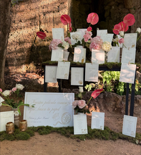 Cargar imagen en el visor de la galería, Seating y meseros de películas