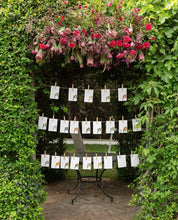 Cargar imagen en el visor de la galería, Seating Catálogo