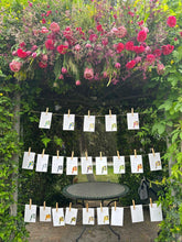 Cargar imagen en el visor de la galería, Seating y meseros Chaquetas Torero